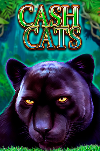 Cash Cats