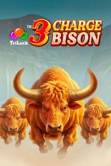 3 Charge Bison